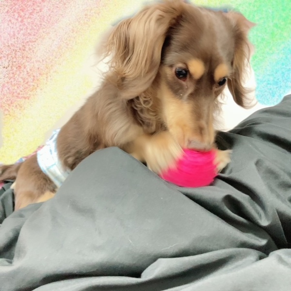 image0.jpeg