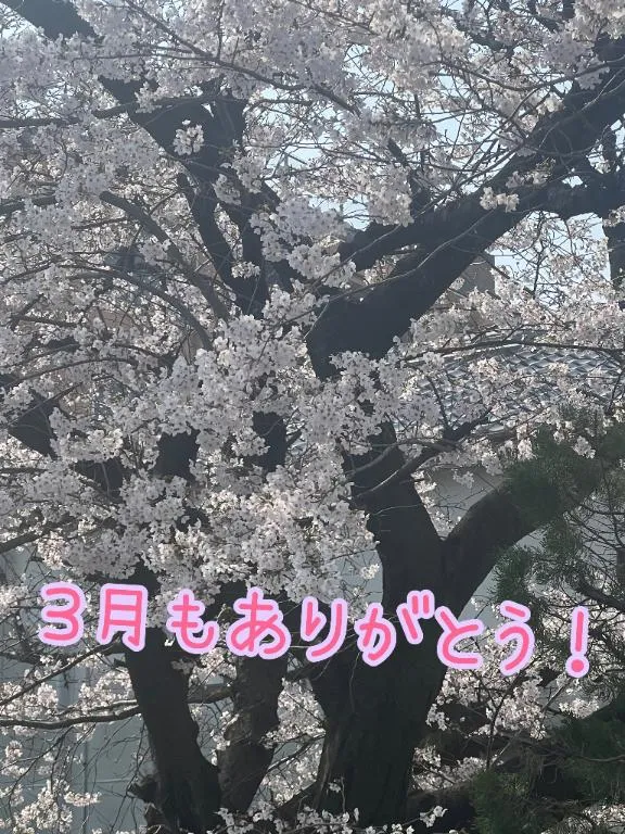 写メ日記 のあ 4/1(水) 17:48