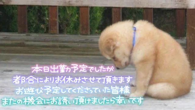 写メ日記 なつ 10/19(月) 09:34