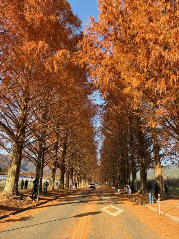 写メ日記 らら 12/16(火) 14:27