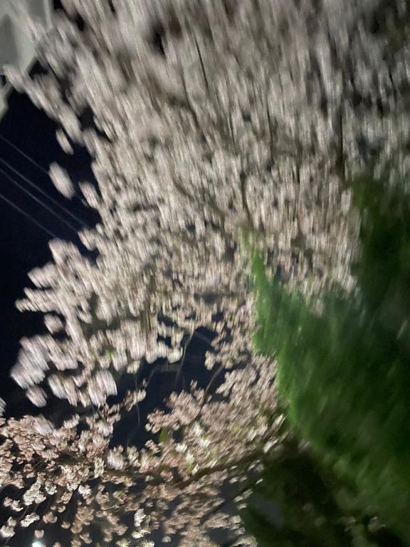 なほ 写メ日記 4/11(金) 20:42