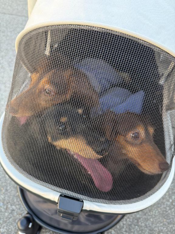 あやの 写メ日記 10/7(火) 20:59