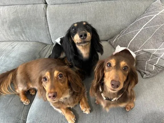 写メ日記 あやの 2/23(月) 00:47