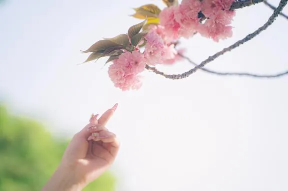 写メ日記 あやの 4/3(金) 14:03