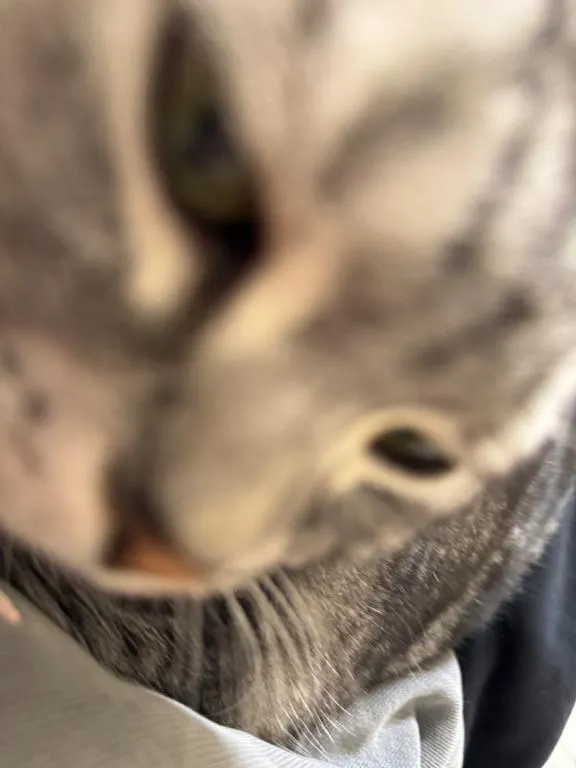 写メ日記 りんね 12/21(日) 23:18