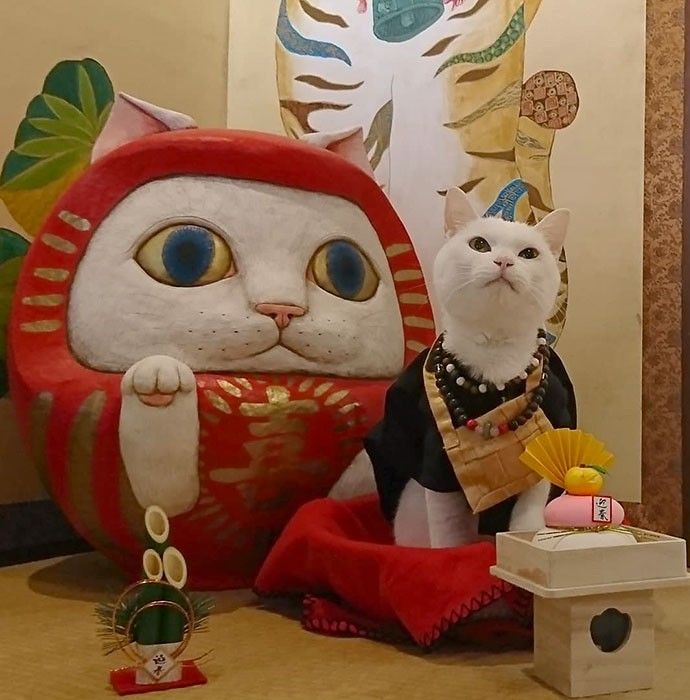 つかさ 写メ日記 10/12(日) 00:30