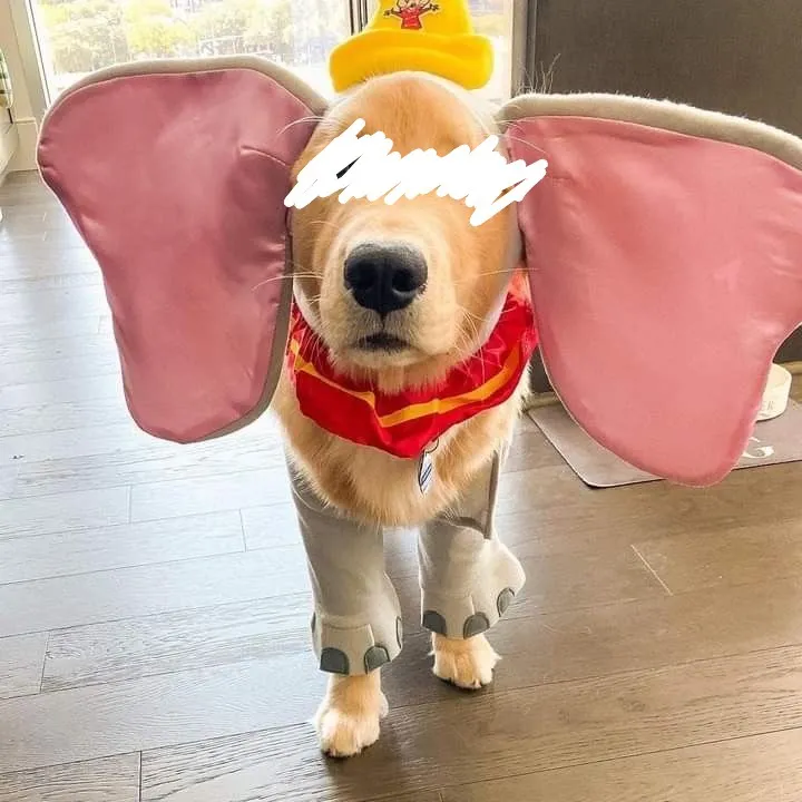 写メ日記 つかさ 10/28(火) 04:28