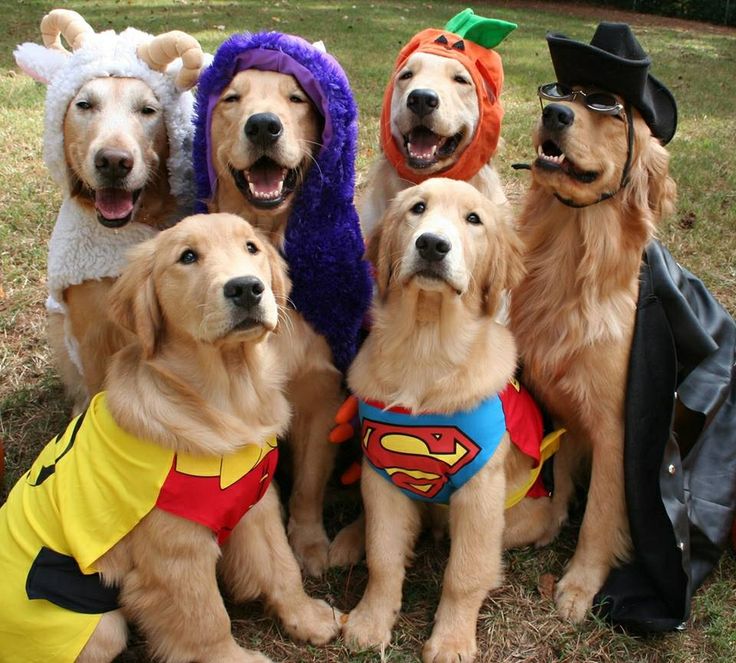 つかさ 写メ日記 10/31(金) 00:29