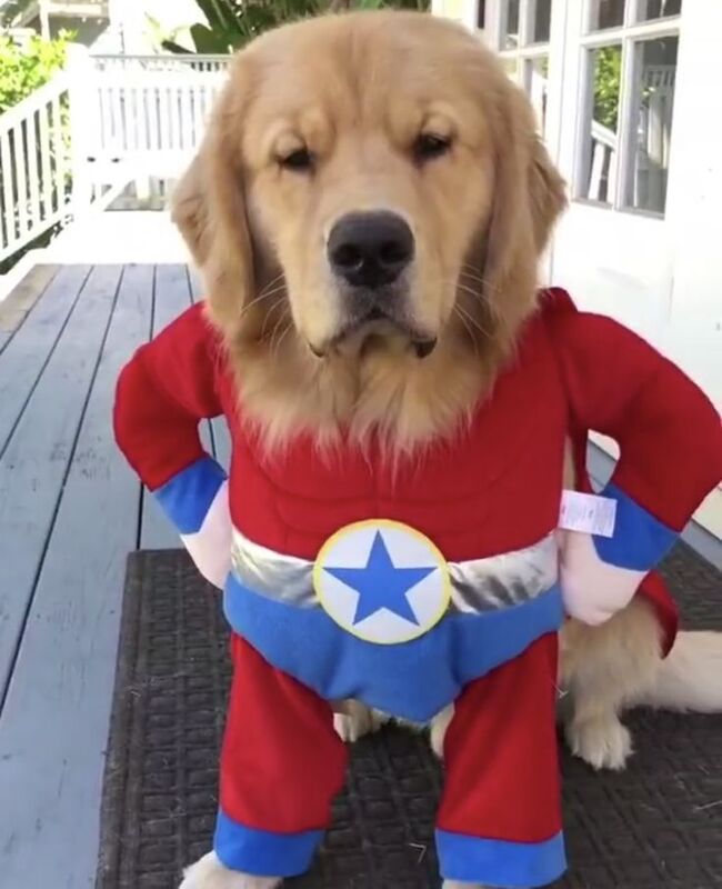 つかさ 写メ日記 11/9(日) 00:52