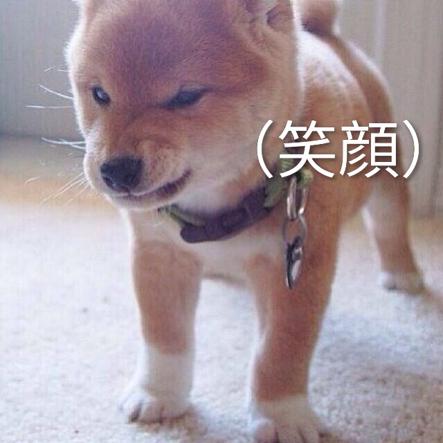 つかさ 写メ日記 11/18(火) 00:30