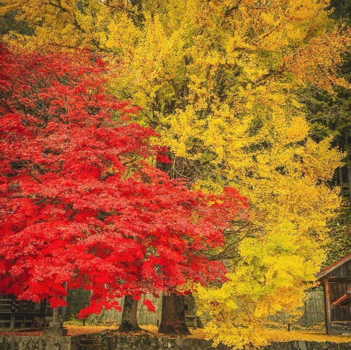 つかさ 写メ日記 11/24(月) 00:27
