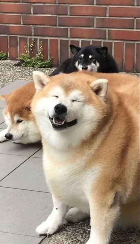 つかさ 写メ日記 11/26(水) 00:29