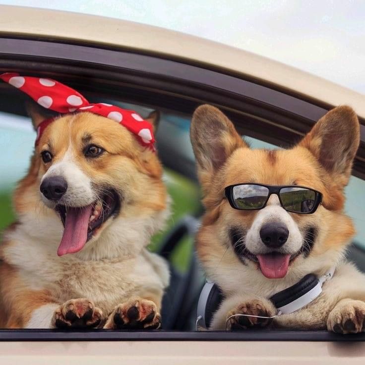 つかさ 写メ日記 11/30(日) 00:29