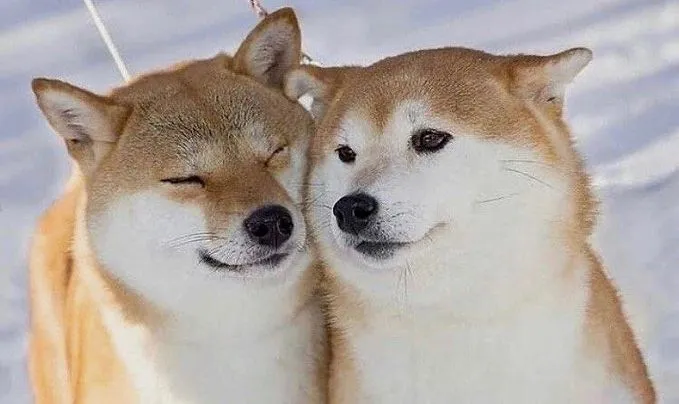 写メ日記 つかさ 1/6(火) 00:28