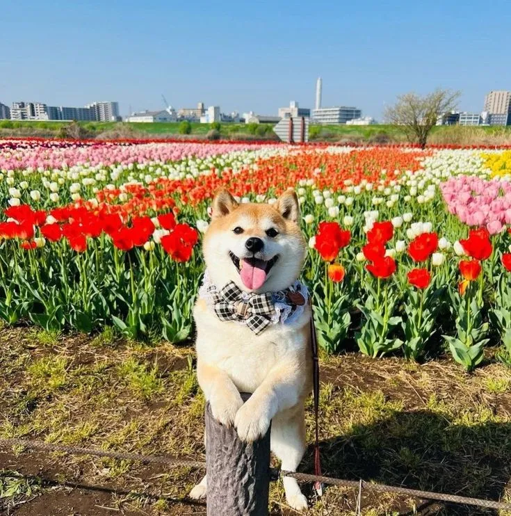 写メ日記 つかさ 1/10(土) 00:27