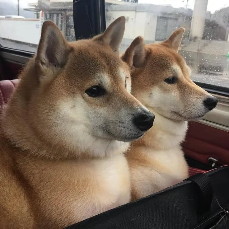 写メ日記 つかさ 1/21(水) 01:15