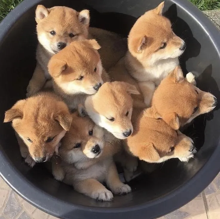 写メ日記 つかさ 2/6(金) 00:34