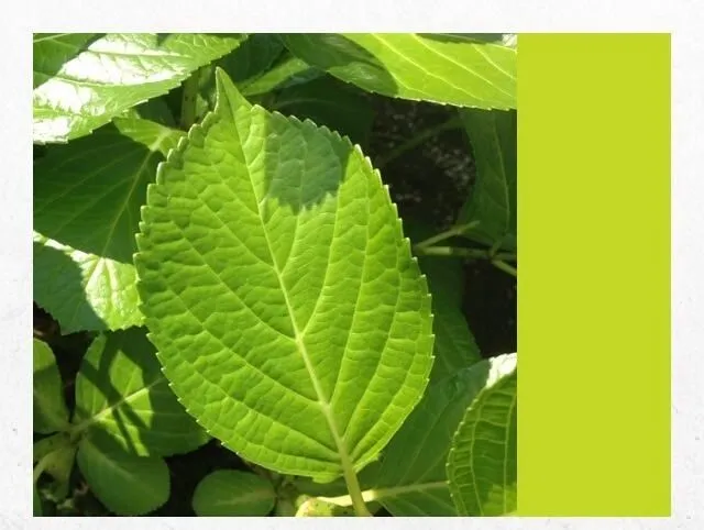 写メ日記 つかさ 3/24(火) 00:29