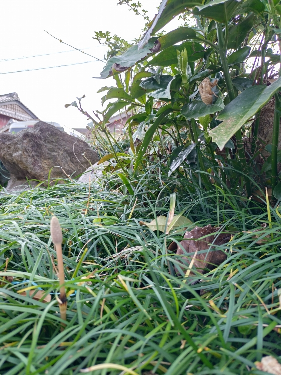 あい 写メ日記 4/1(火) 08:00