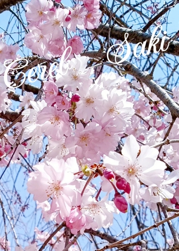 さき 写メ日記 4/18(金) 22:03