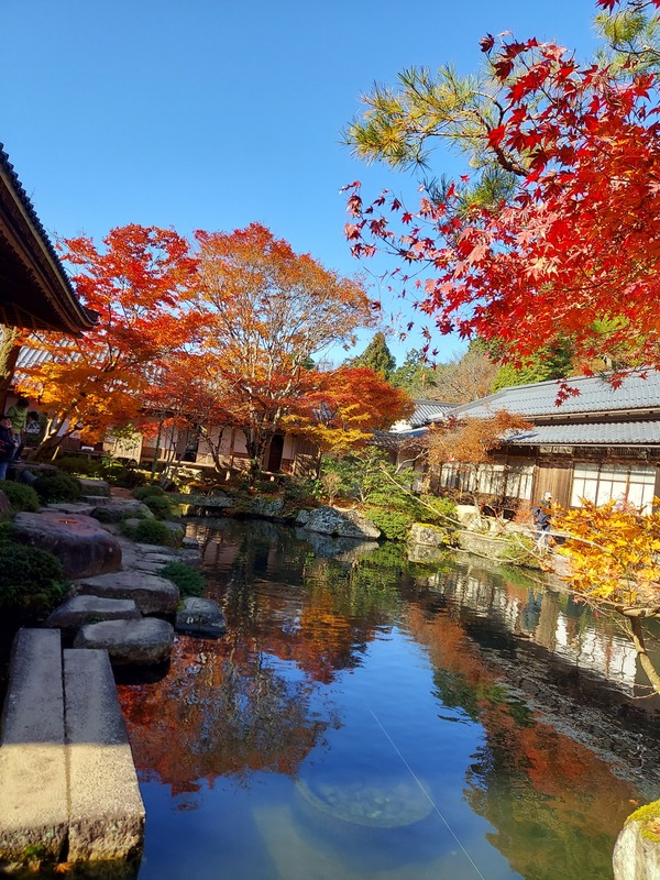 ひろ 写メ日記 11/17(月) 22:32