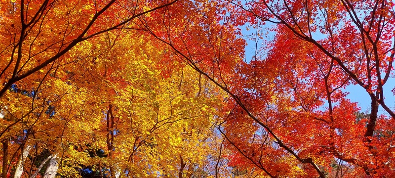 ひろ 写メ日記 11/22(土) 19:56