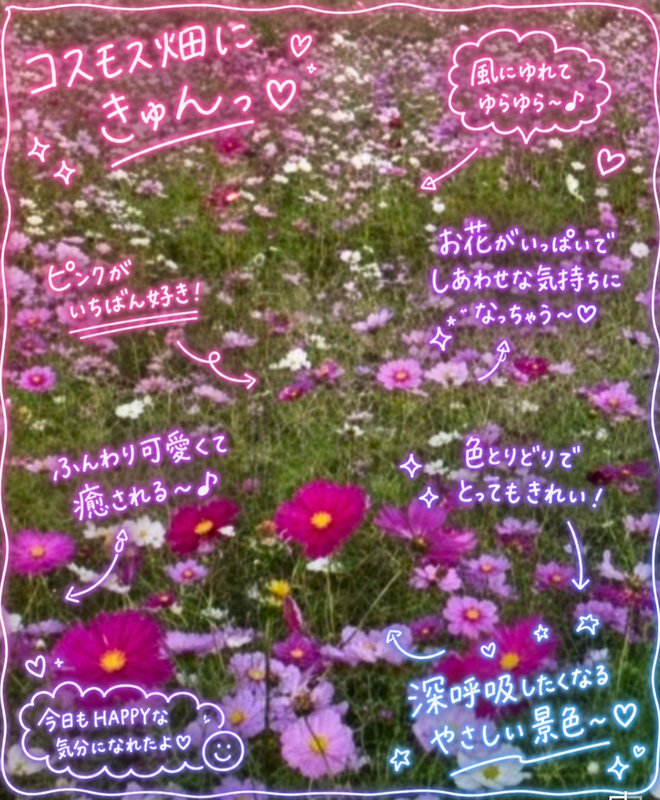 写メ日記 りか 10/26(月) 10:28