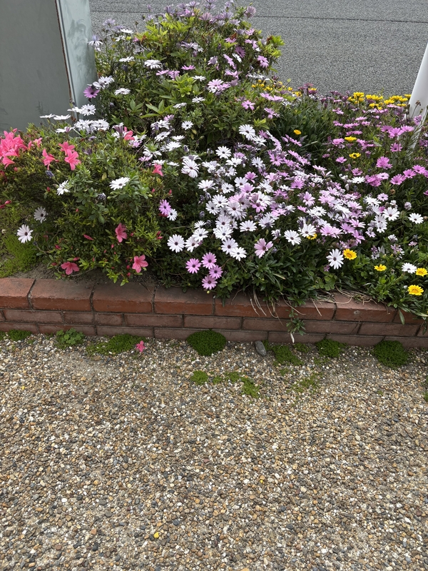 あおい 写メ日記 5/15(木) 14:44