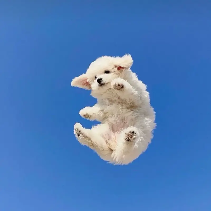 写メ日記 あおい 8/27(木) 10:05