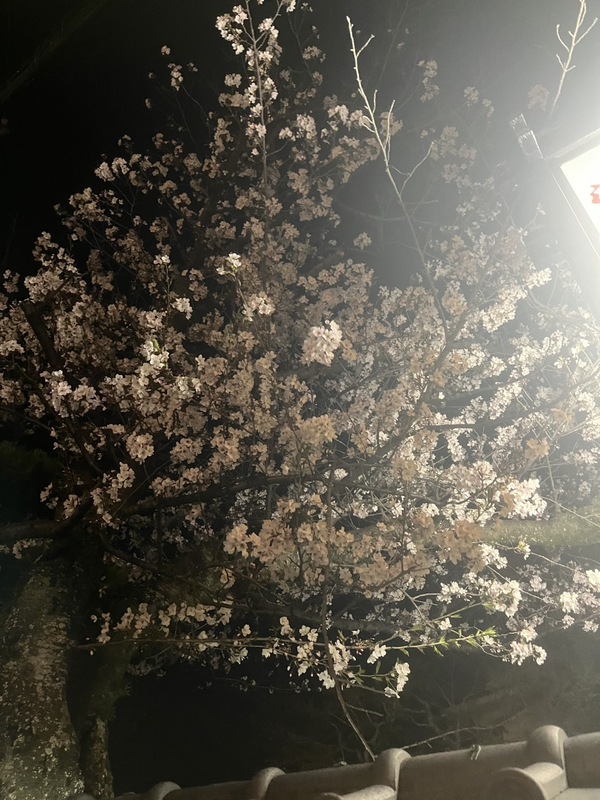 ふうか 写メ日記 4/9(水) 15:03