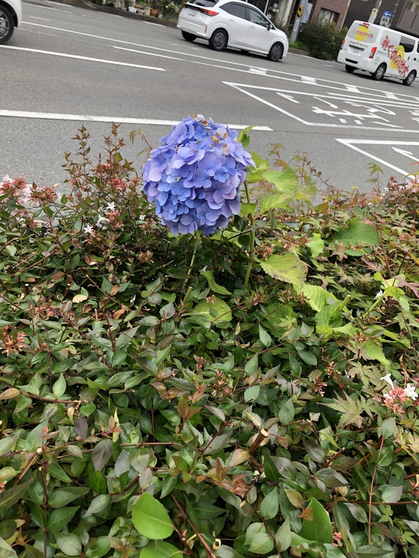 ふうか 写メ日記 6/7(土) 15:07