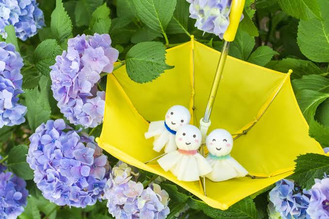 ふうか 写メ日記 6/14(土) 14:56