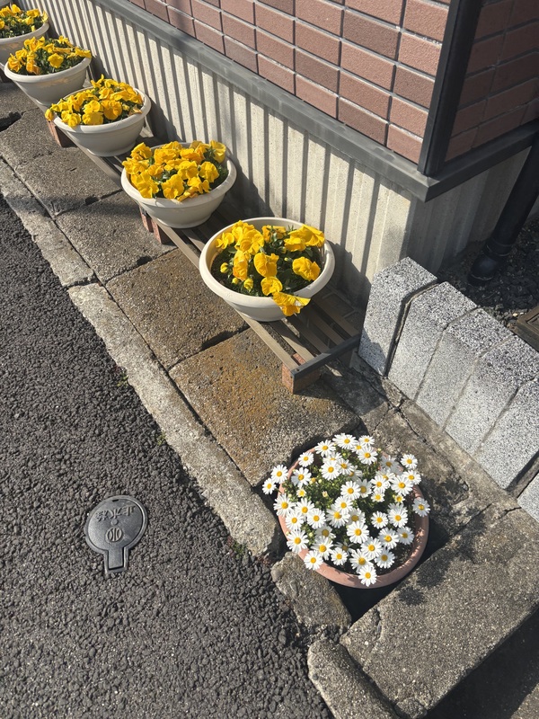 さく 写メ日記 3/26(水) 15:10