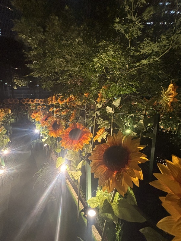 さく 写メ日記 9/3(水) 20:01