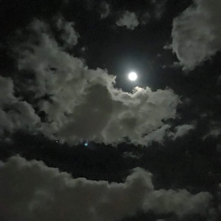 写メ日記 さく 2/20(金) 02:28