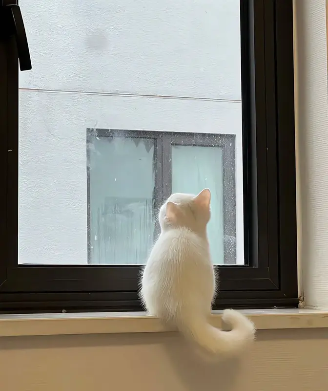 写メ日記 さく 7/7(火) 02:15