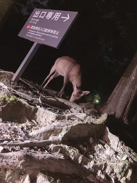 写メ日記 らん 4/28(火) 23:30