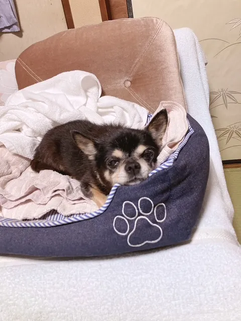 写メ日記 らん 6/13(土) 01:44