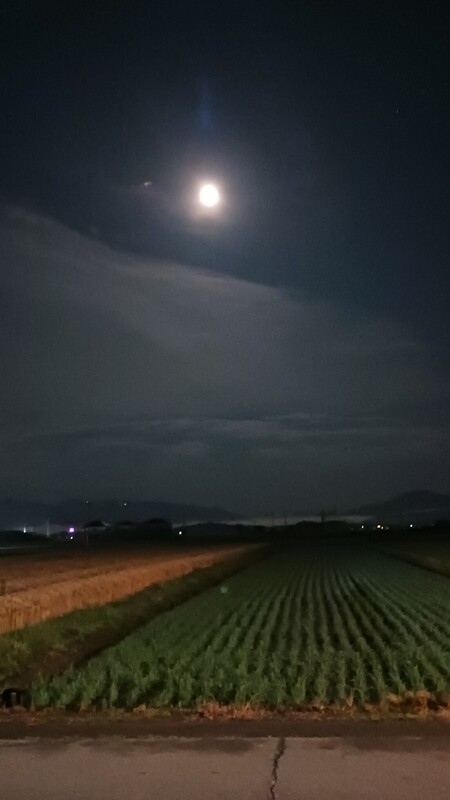しずく 写メ日記 6/11(水) 23:28
