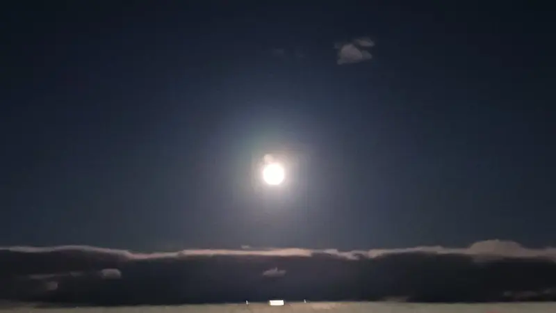 写メ日記 しずく 1/3(土) 23:07