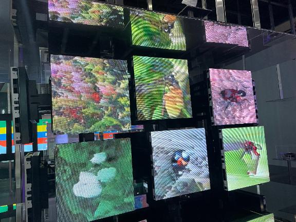 あゆみ 写メ日記 7/1(火) 06:30