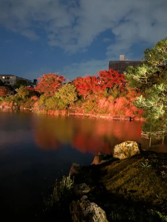 写メ日記 めれんげ 12/10(水) 14:01