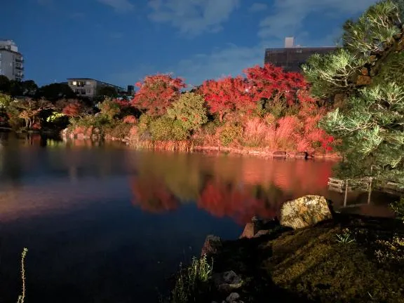 写メ日記 めれんげ 12/28(日) 17:21