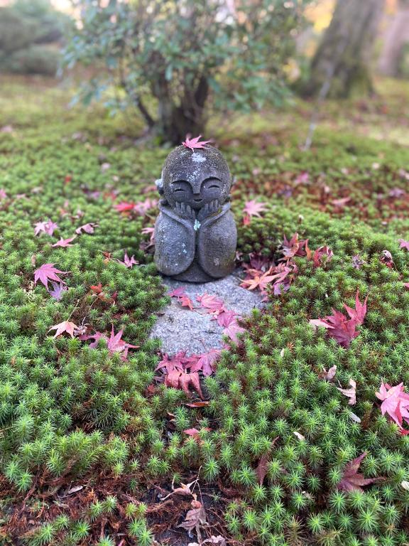 きほ 写メ日記 6/9(月) 06:14