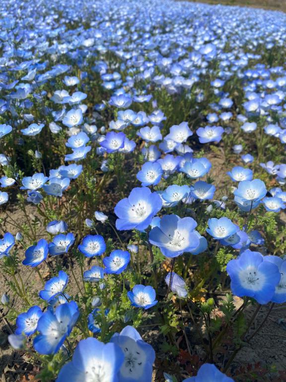 きほ 写メ日記 7/10(木) 20:10
