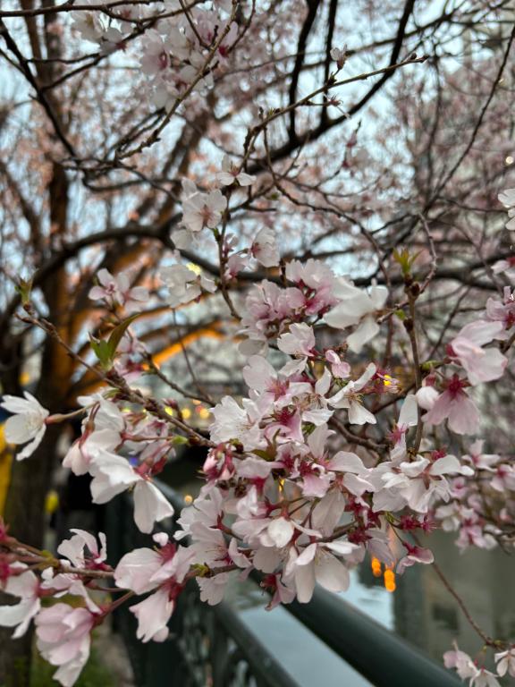 ゆい 写メ日記 3/28(金) 19:54