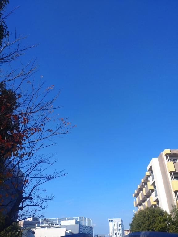 かえ 写メ日記 11/14(金) 14:24