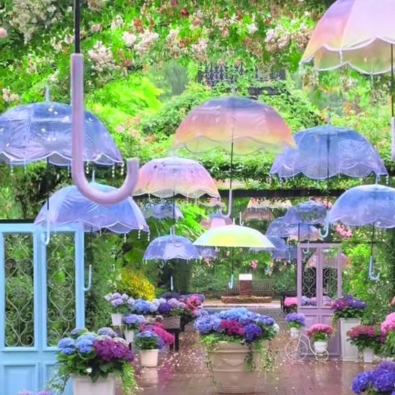 ここは 写メ日記 11/26(水) 10:16