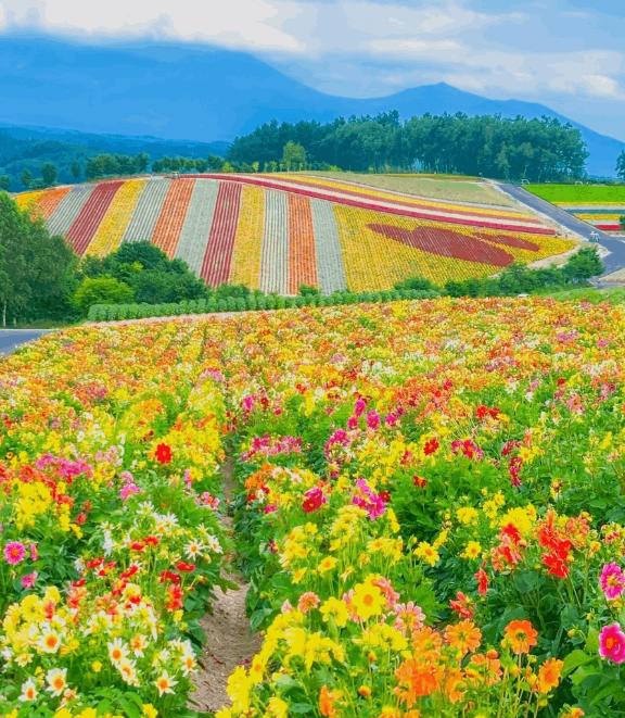 ここは 写メ日記 12/8(月) 21:49