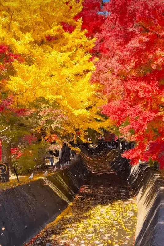 写メ日記 ここは 12/17(水) 17:03